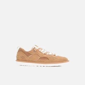 UGG SNEAKERS M MINIMEL