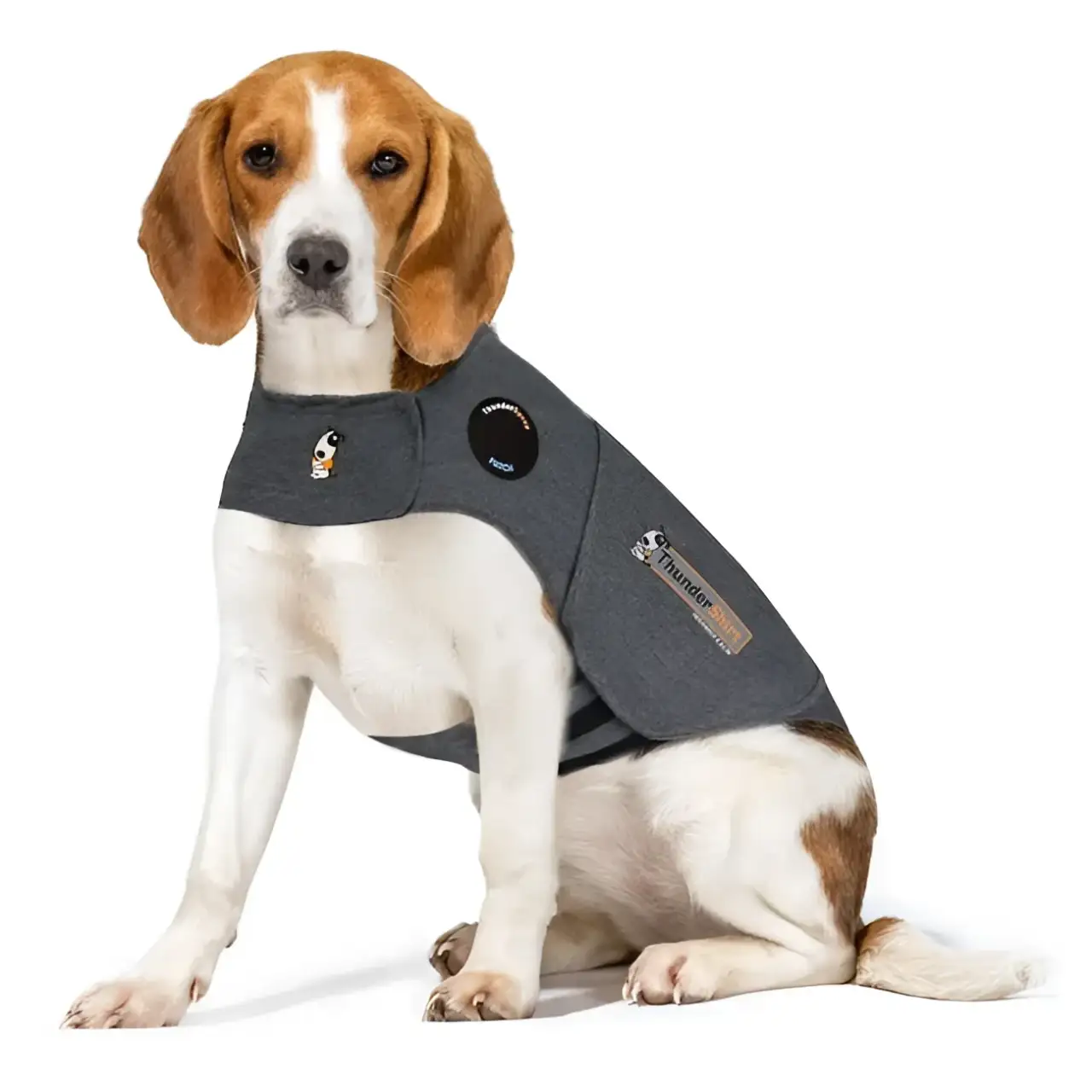 Adaptil Thunder Shirt - immagine 4