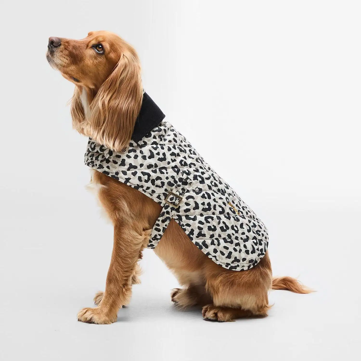 Barbour - Cappotto per cani trapuntato Harley - immagine 2
