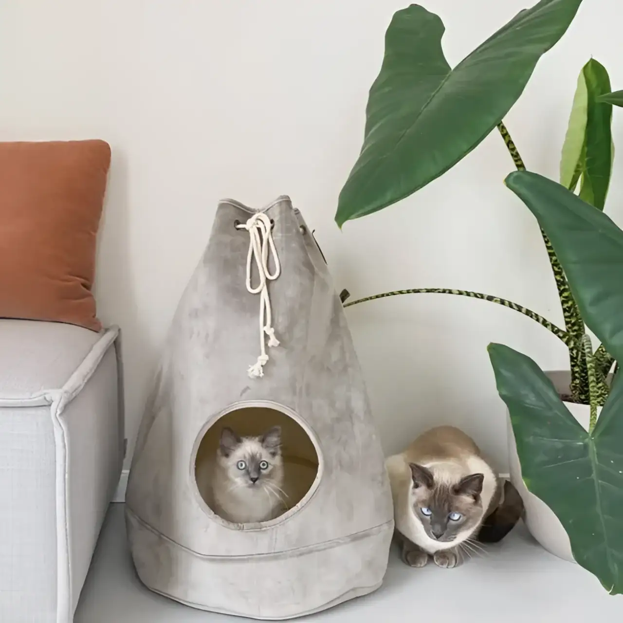 Designed By Lotte - Cat Home Vilar Rosa - immagine 3