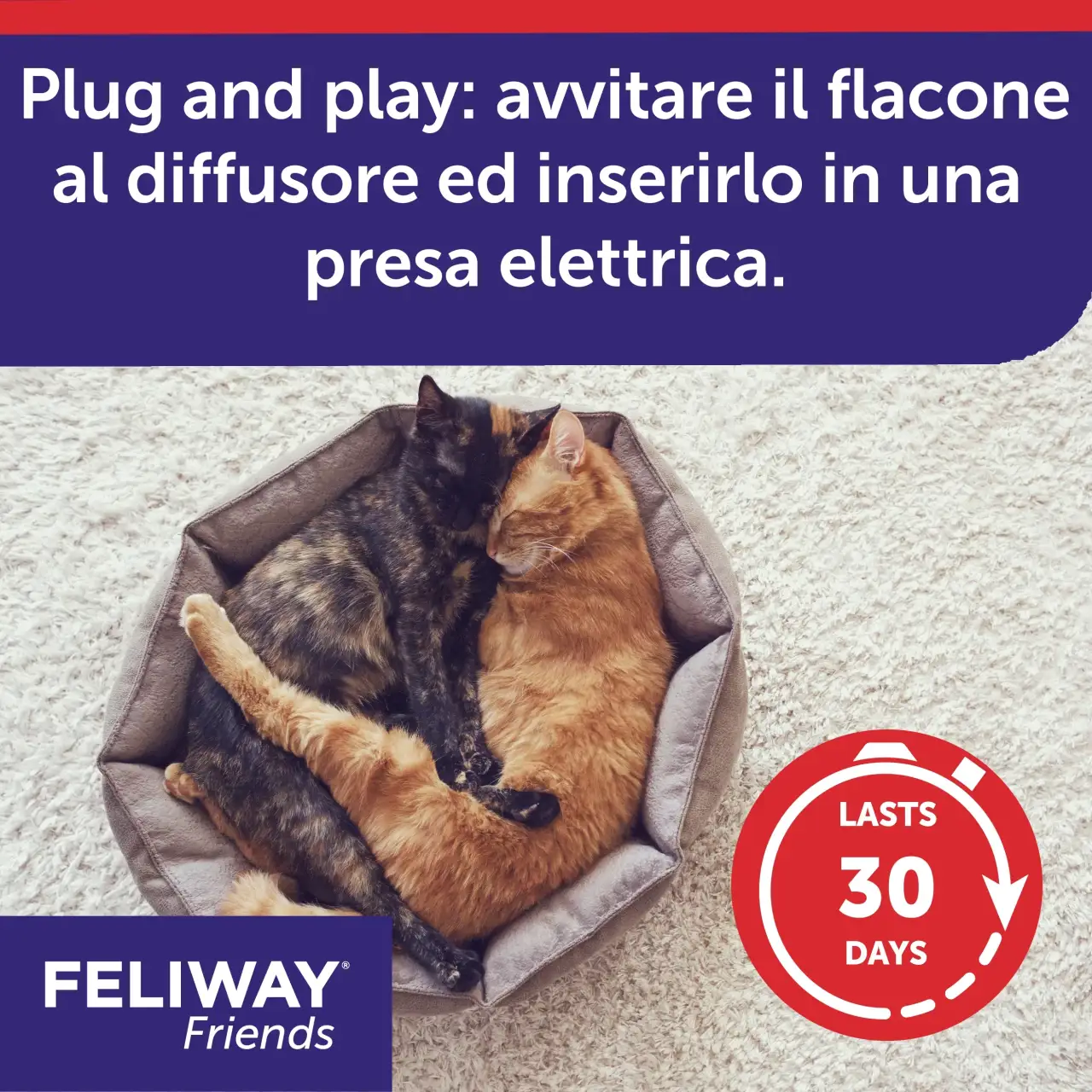Feliway Friends - immagine 3