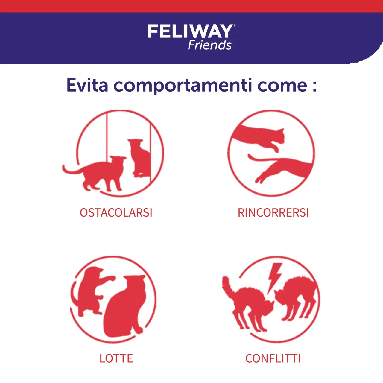 Feliway Friends - immagine 5