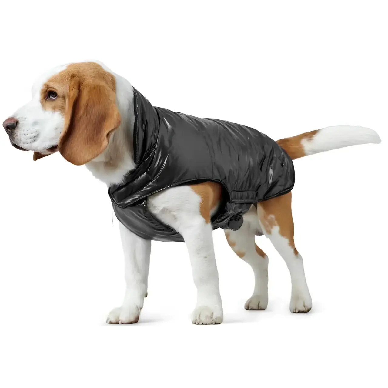 Hunter - Dog Coat Tampere Nero - immagine 5