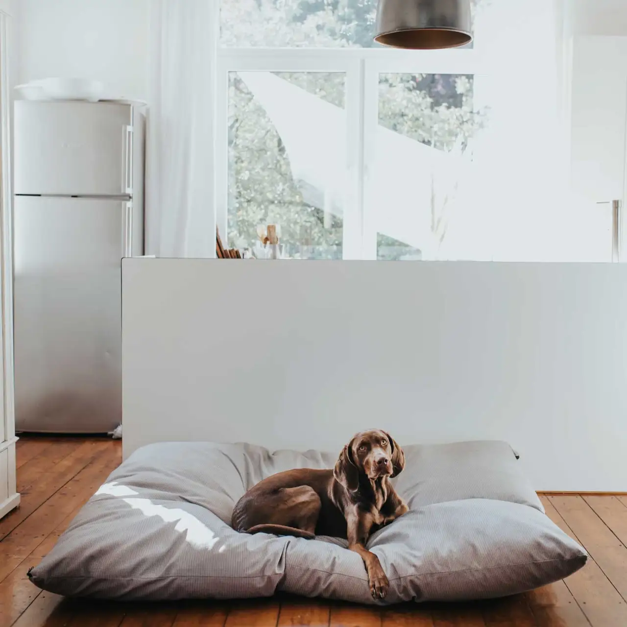 Hunter Maxi Bed Lancaster XXXL - immagine 6