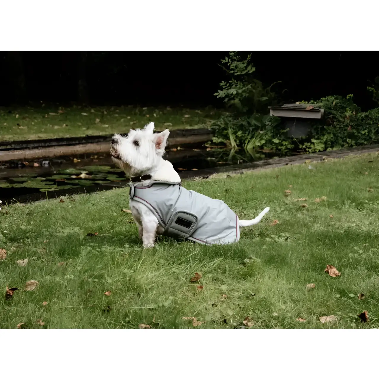 Kentucky - Impermeabile per cani 160gr - immagine 7