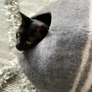 Mishum - Cat Caves Cocoon