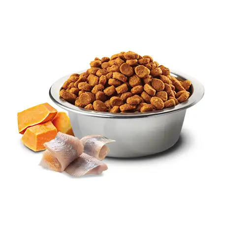 Farmina Cat N&D Ocean Aringa Zucca e Arancia - immagine 3