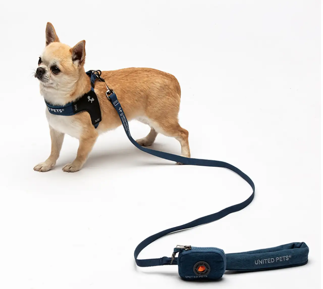 United Pets - Citylife - Pettorina aggancio rapido in Jeans - immagine 4