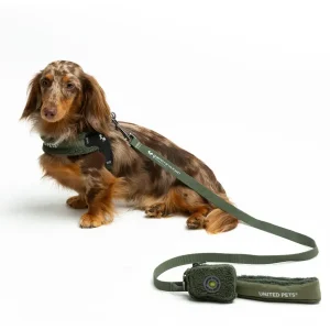 United Pets Citylife - Guinzaglio Soft Plush