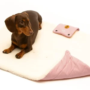 Save the Duck - Stuoia portatile imbottita per cani